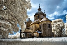 old churches Chernigiv ... / ***