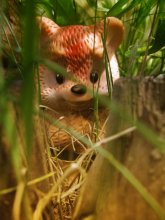 Zaplutavshy in the grass / ***
