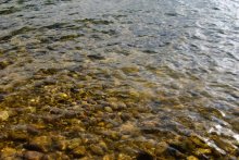 Lake Naroch / ***