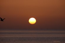 At dawn / ***