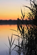 Vitebsk sunset / ................