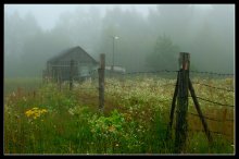 Forgotten, pozabrosheno / ***