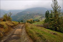 Trails Carpathians / ***