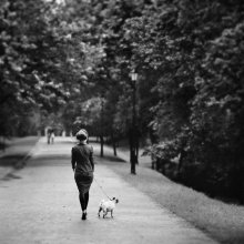 Lady with the Dog / ***