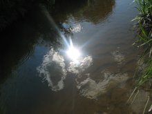 The sun in the water. / ***