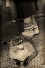 day stuffed grandmother / ***