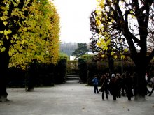 Autumn / ***