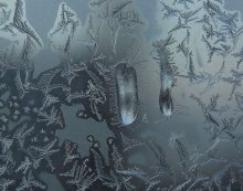 Frosty patterns - Ciliates Shoe &quot; / ***