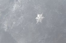 snowflake / ***