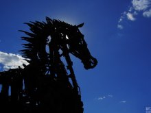 iron horse / ***