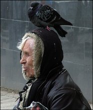 OLD WOMEN AND DOVE / ***