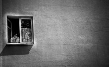 The window / ***