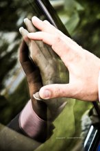 Everything in my hands ...!? / ..............