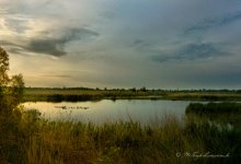 Ukrainian quiet evening / ***