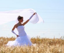 Wedding Photo / ***
