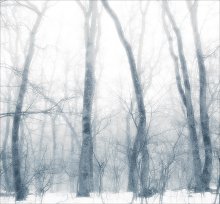 so far ... February ... / .....