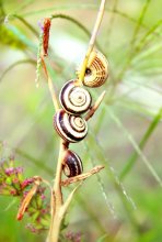 above to the sky / ***