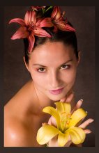 Victoria lily / ***