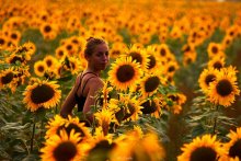 Under solnechnost1 / ***