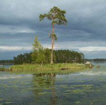 Karelian landscape / ***