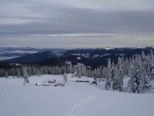 Polonyna &quot;Golovcheska&quot; 1300. Carpathians / ***