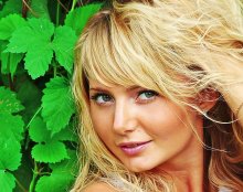 portrait against the background of hops / ***