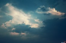 Childhood dreams / ***