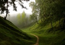 A ray of light in a dark ravine / ***