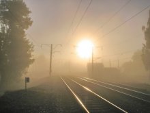 Sun in the Fog / ***