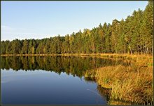 * Autumn colors * / ***