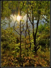 Autumn evening on the shore / ***