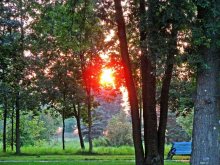 Evening / ***