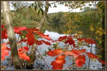 Autumn. Red partisans. / ***