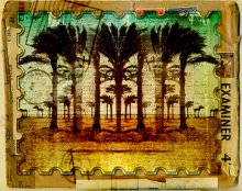 pazdravitelnaya Postcard from Africa / ***