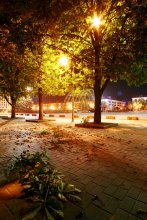 nachnyya chestnuts / ***