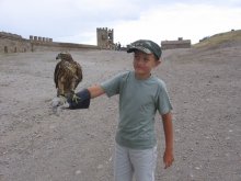 Dan, walleye and falcon / ***