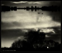 In the coastal fog / ***