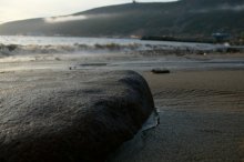 I lay in the port of Magadan ... / ***