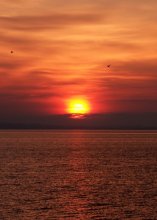 Narochansky sunset / ***