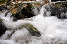 They came together, water and stone ... / ***