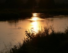 River sunset / ***
