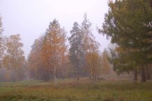 Fog, mist ... / ***