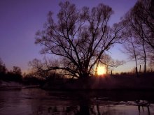 Lilac sunset. / ***