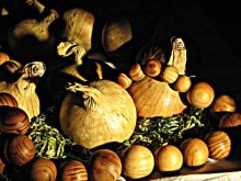 Onion Still Life / ***