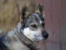 ... Photos @ friend @ ... / ***