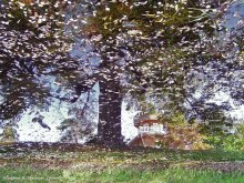 Autumn in Zdravnevo / ***