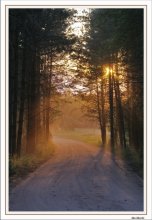 Sunset / ***