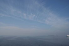 Fog / ***