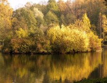 gold autumn / ***