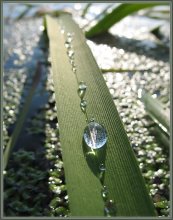 On a green highway / ***